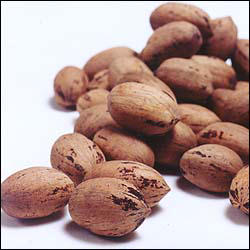 IN-SHELL PECANS