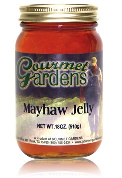 JELLIES/SYRUPS
