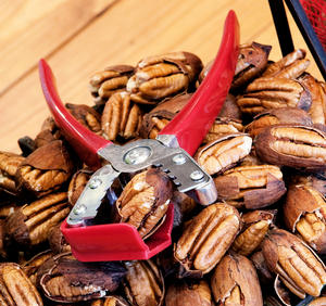 TEXAS YORK NUTCRACKER